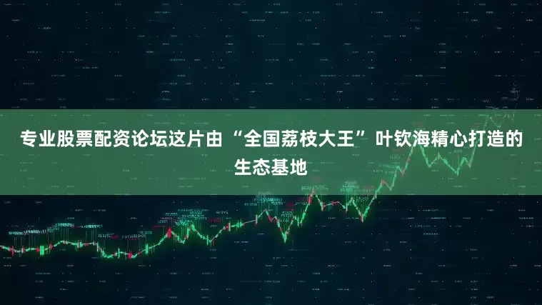 专业股票配资论坛这片由 “全国荔枝大王” 叶钦海精心打造的生态基地