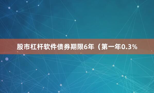 股市杠杆软件债券期限6年（第一年0.3%