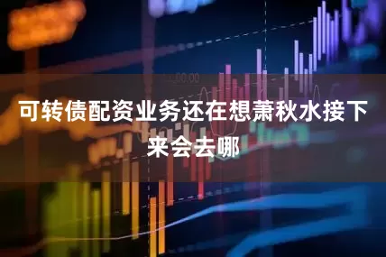 可转债配资业务还在想萧秋水接下来会去哪